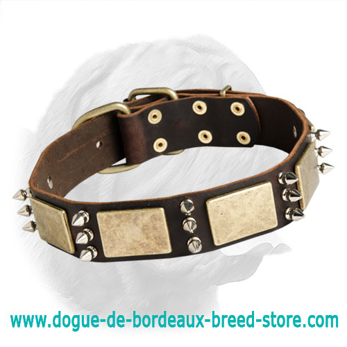 Dog Collars  Buy Online at DOGUE