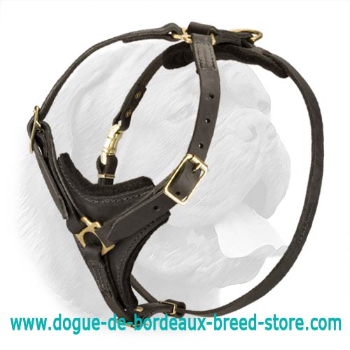 Leather best sale tracking harness