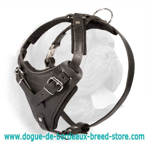 Exclusive Luxurious Handcrafted Padded Leather Dog Harness Perfect for your  Dogue De Bordeaux H10 [H10##1073 Leather dog harness Y-shaped padded] -  $123.99 : Best quality dog supplies at crazy reasonable prices 