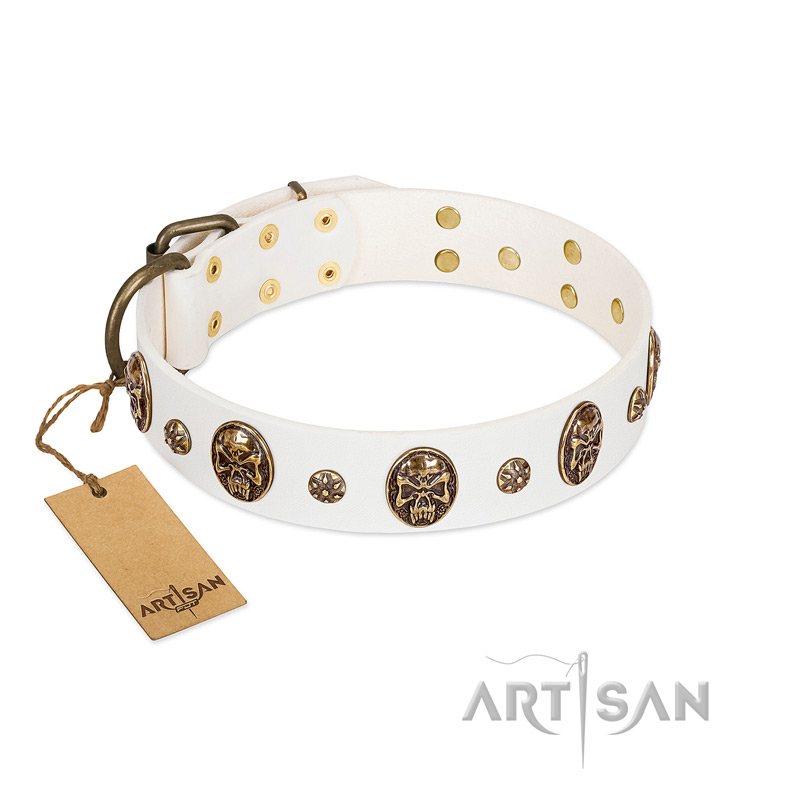 Bordeaux Leather Collar and Leash Set with Studs - BULLET