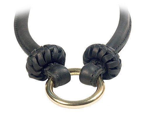 Durable brass O-ring for leash attachment