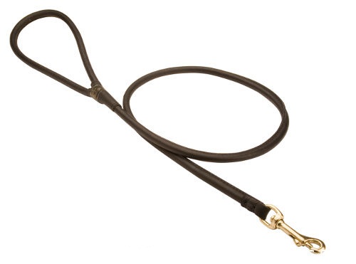 Marvelous leash for dog control