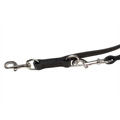 Stainless snap hooks for Dogue de Bordeaux leash
